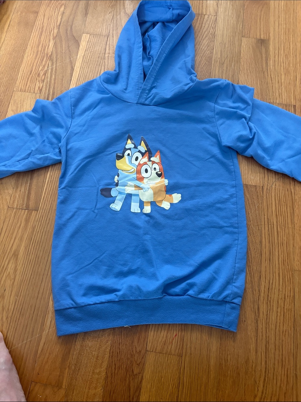 Blue Kids Hoodie with Cartoon Dog Graphic - Unbranded